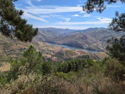 Looking down to the Douro River