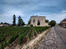 vineyards around St. Emilion