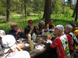 chicken breast sandwiches at spring creek 