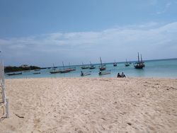 Dhow boats along the beach