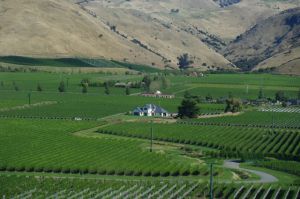 riding into the Marlborough valley 